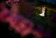 Chicago wedding photographer Steve Koo
