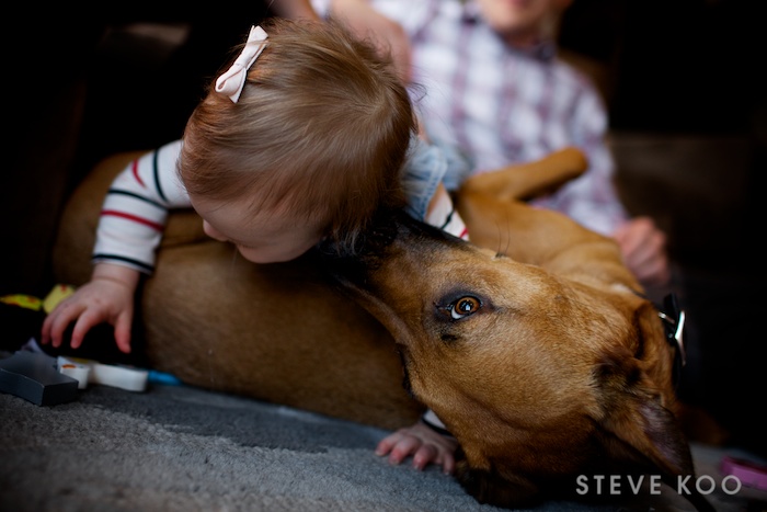 baby-photos-with-dog