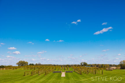 providence-vineyard-01